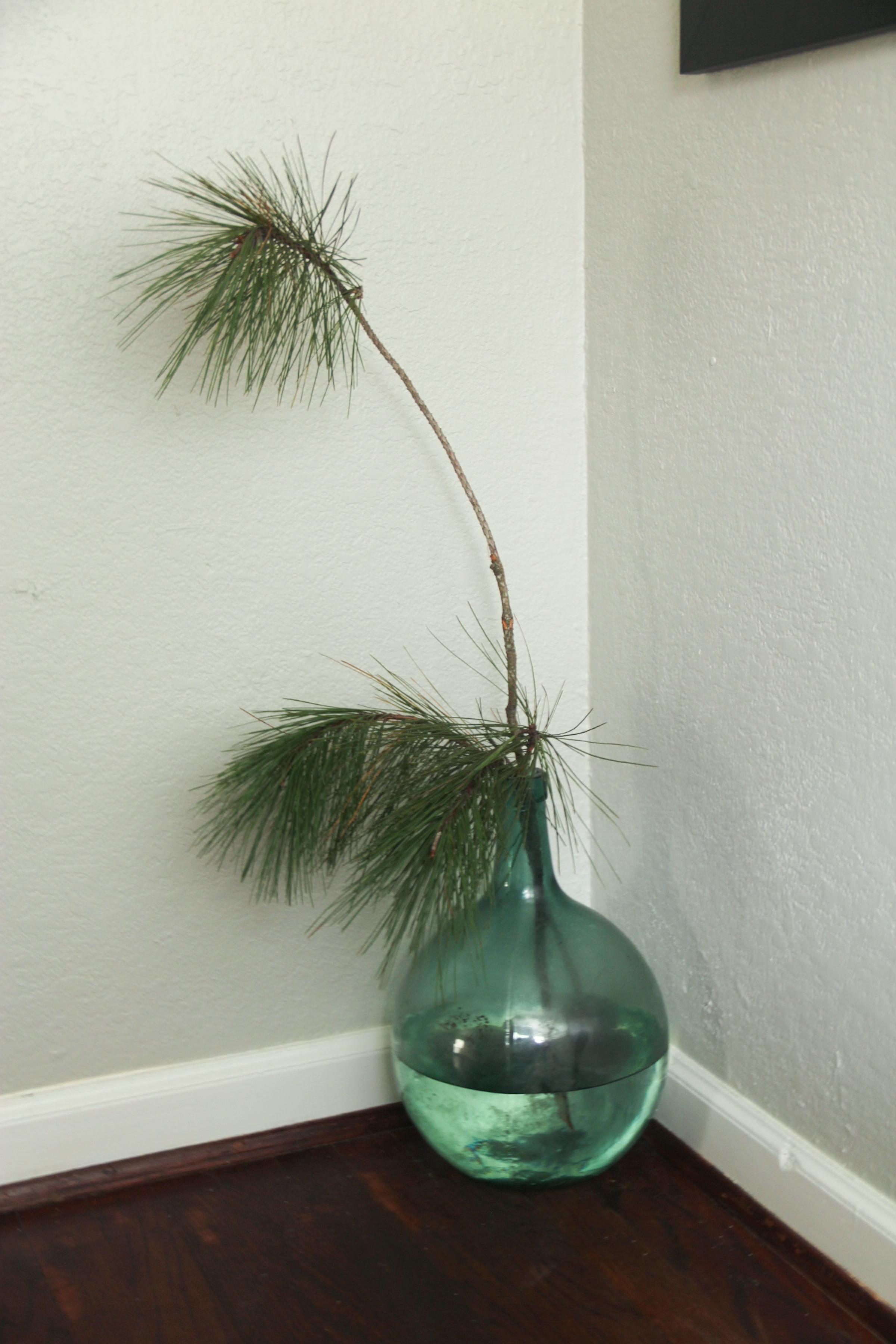 christmas pine clip