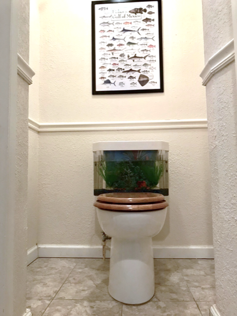 fish tank toilet, fish n flush, toilet closet, diy toilet, guest bathroom, powder room