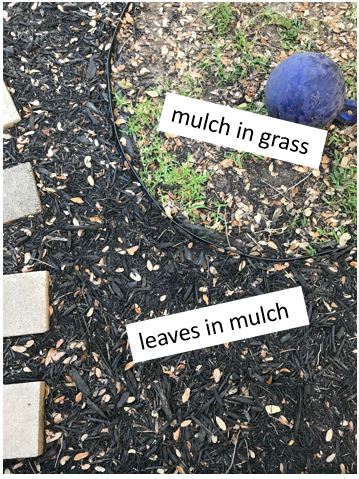 mulch in grass, black mulch