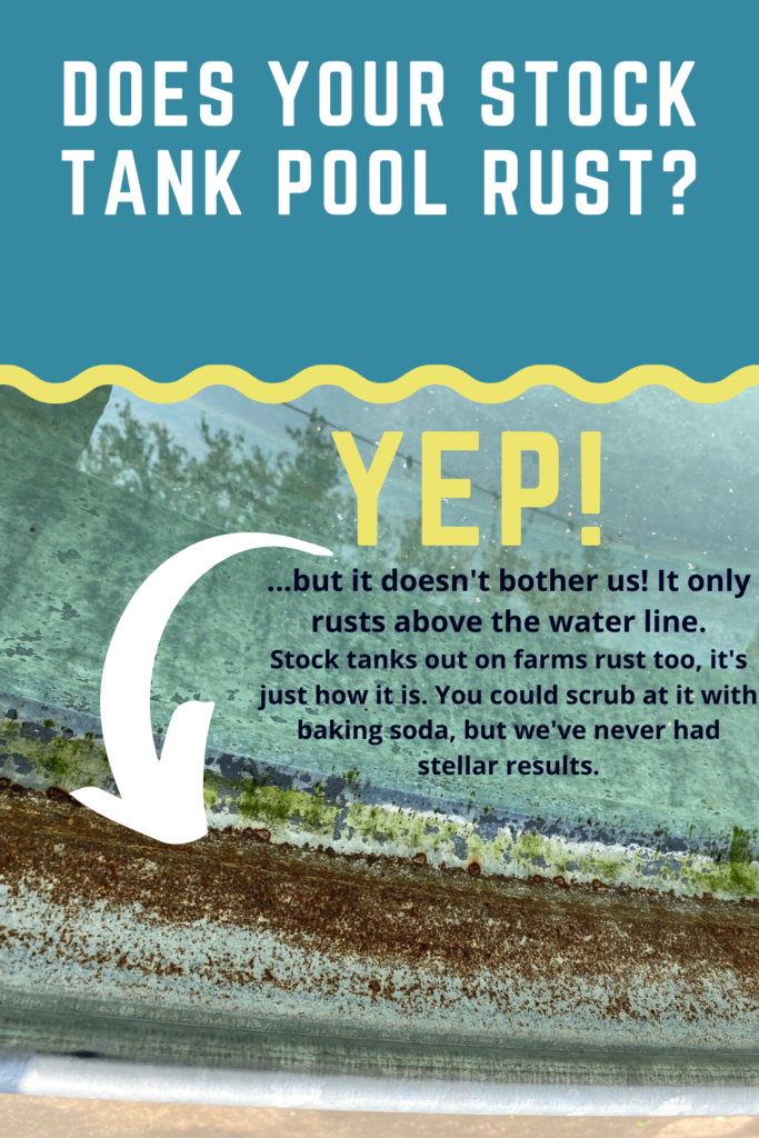 stock tank pool, diy stock tank pool, diy pool, pool projects, install your own pool, cowboy pool, plunge pool, dip pool, texas pool, stock tank pool rust, how to get rid of rust in stock tank, rusty sides of pool